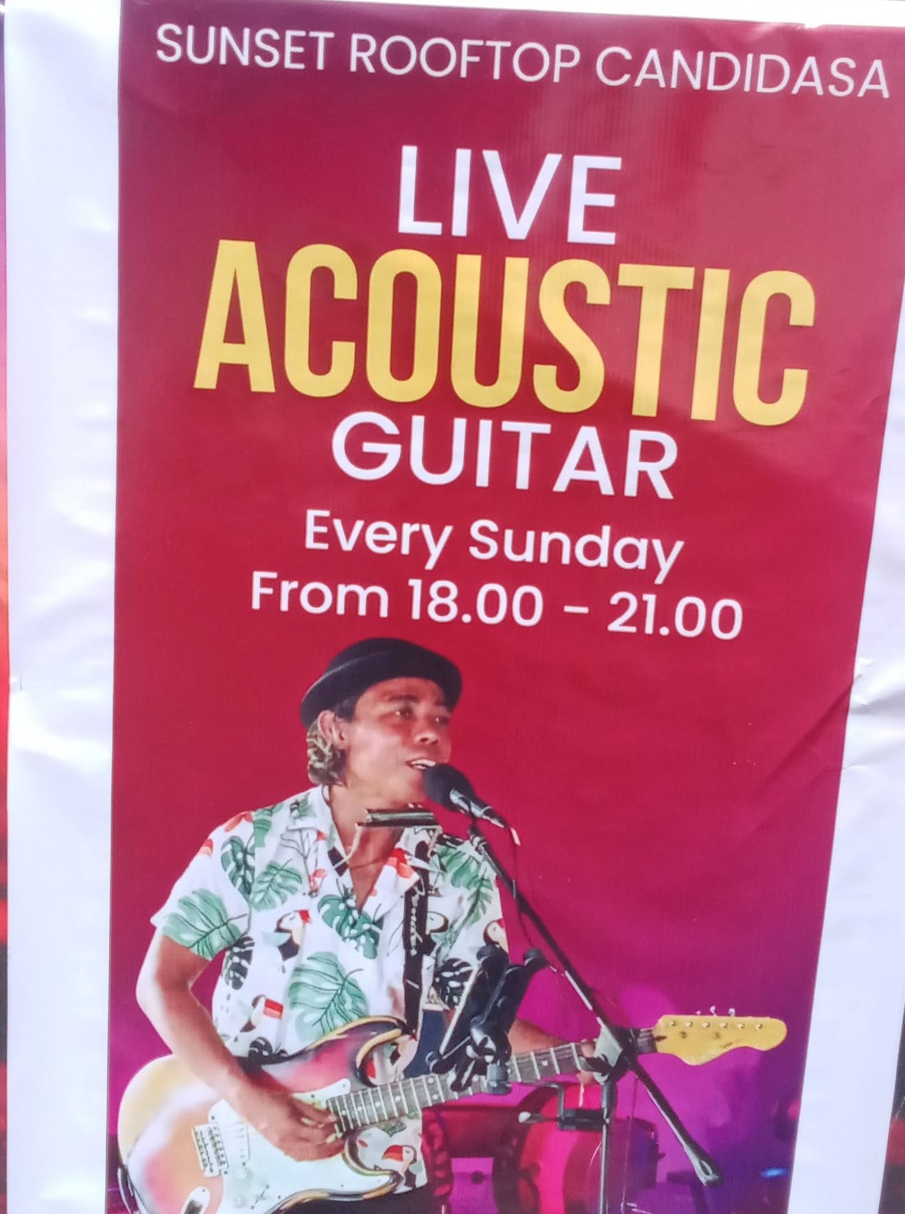 Live Acoustic Guitar Performance